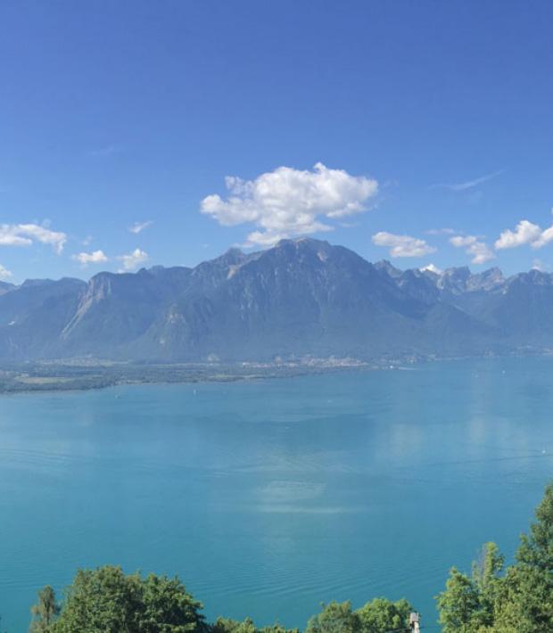 The Swiss connection