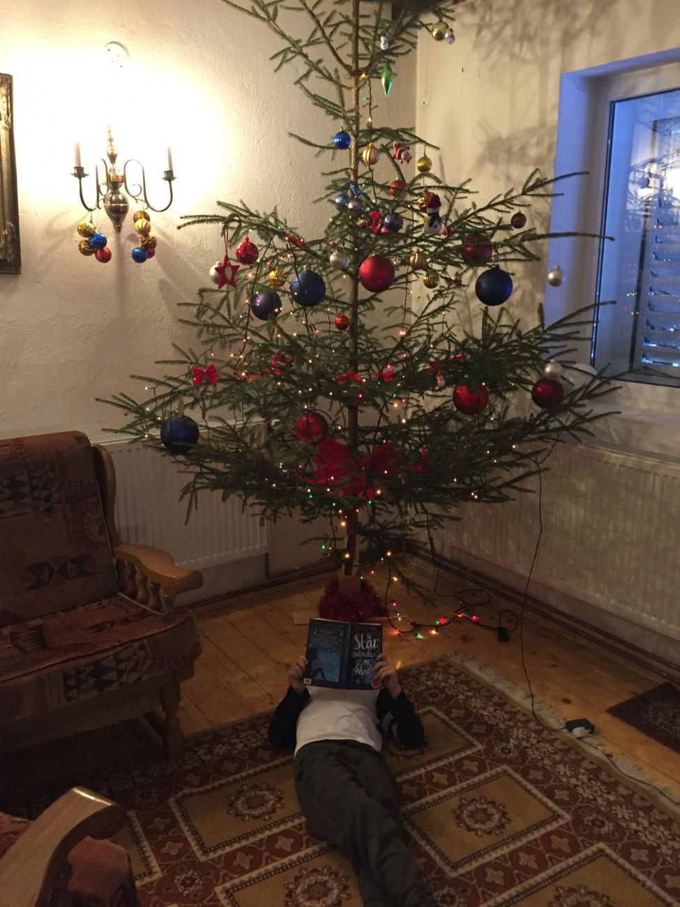 Boy reading under Christmas tree